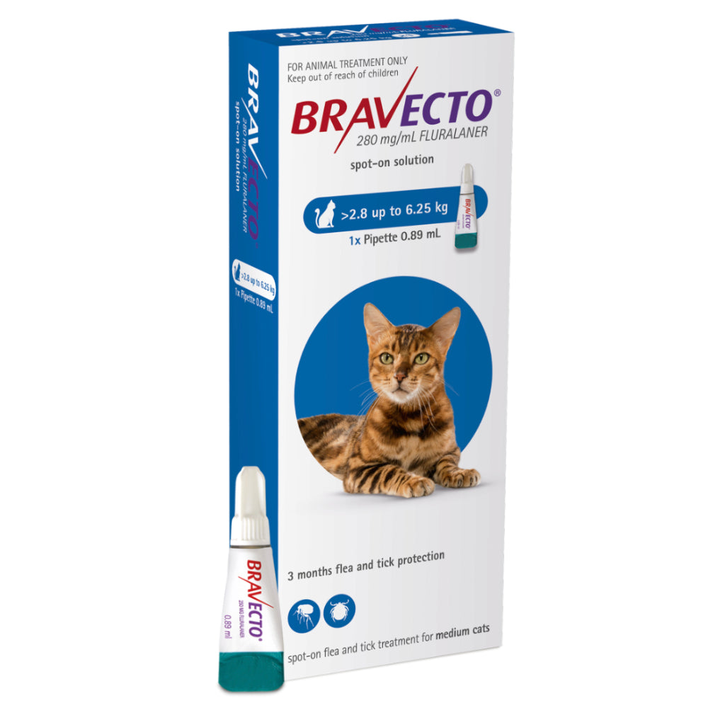 Bravecto Topical Solution for Cats