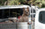 Outback station stays with dogs: parasite guide
