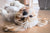 Switching Flea, Tick & Worm Products Safely: A Simple Timing Guide