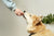 Switching Flea, Tick & Worm Products Safely in NZ