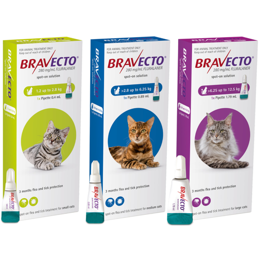 Bravecto Topical Solution for Cats